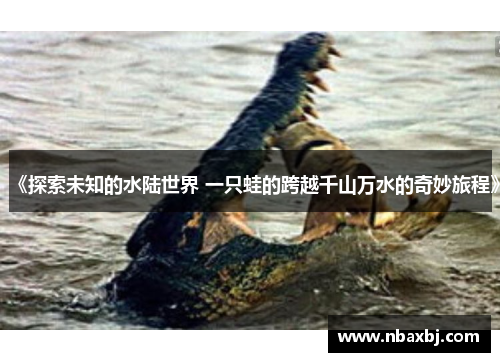 《探索未知的水陆世界 一只蛙的跨越千山万水的奇妙旅程》
